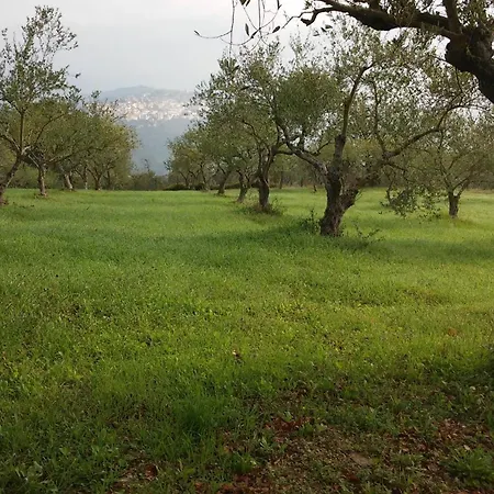 Italia2